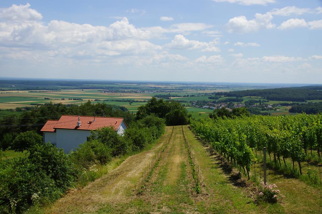 Kellerstoeckl Weinblick I Und II Villa Eisenberg an der Pinka Eksteriør billede